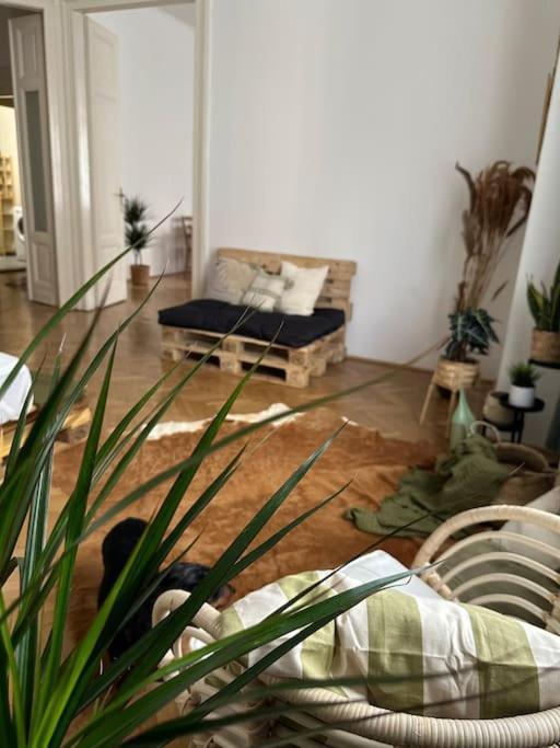 Apartamento Baross *